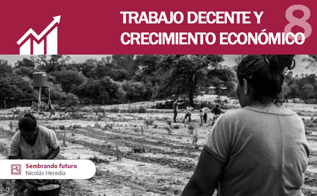 Ods Trabajo Decente Y Crecimiento Econ Mico