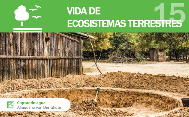 ODS 15 - VIDA DE ECOSISTEMAS TERRESTRES